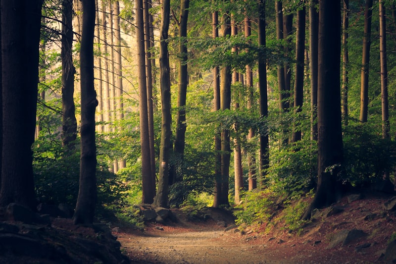 Ecoturismo